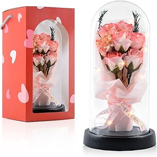 Preserved Flowers Gifts for Her Mom Women, Forever Roses Fresh Flowers for Delivery Prime, Light Up Pink Rose in A Glass Dome Valentines Mothers Day Birthday Gifts for Grandma Wife Sister