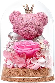 Preserved Rose Flowers Gifts for Her, Real Forever Rose in Glass Dome with Adorable Bear for Girlfriend,Mom,Wife,Grandma on Birthday Anniversary Valentine's Day