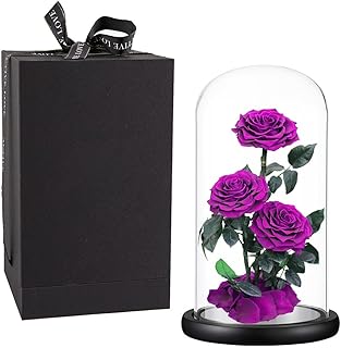 Purple Roses Handmade Rose in Glass Dome, Preserved Flowers Never Withered, Birthday Gifts for Women (13 inch)