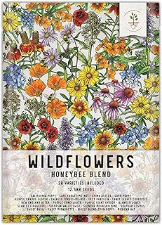 Seed Needs Pollinator Seed Mix Honey Bee Blend Wildflowers | Bulk 1 Ounce 12,500+ Heirloom Seeds 20 Pollinator Friendly Flower Varieties | Help Save the Bees Produces Colorful Blooms | Open Pollinated