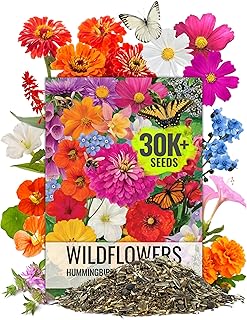 Seed Needs Wildflower Seeds Butterfly and Hummingbird Seed Mix 2 Ounce No Filler | 23 Varieties Annual & Perennial Species Such as Butterfly Milkweed, Cosmos & Zinnia | Resealable Bulk Package