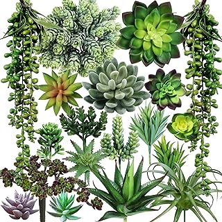Winlyn 19 Pcs Assorted Artificial Succulents Plants Unpotted Small Green Hanging Succulent Aloe Fake Cacti Succulents Bulk for Succulent Garden Centerpiece Wreath Arrangement Indoor Outdoor Home Decor