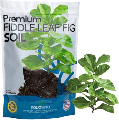 Fiddle Leaf fig Soil Plant Food fig Trees Live Plants Fertilizer Seed Starter Soil Plant Chunky Perlite 4 cu ft Plant pots Indoor with Drainage Free 2 oz Bag of Fertilizer Pellets Inside 2.4 Qts