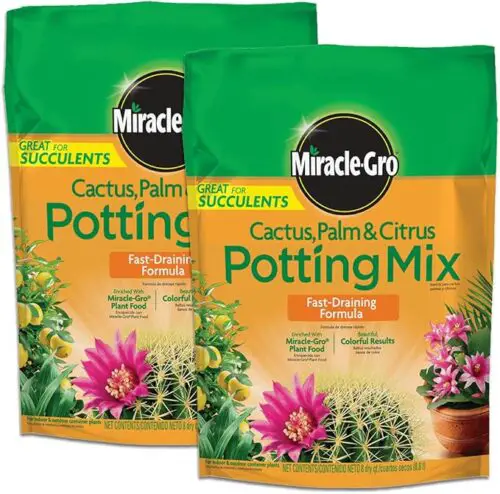 Miracle-Gro Cactus, Palm and Citrus Potting Mix, for Indoor or Outdoor Potted Plants, Great for Succulents, 8 qt., 2-Pack