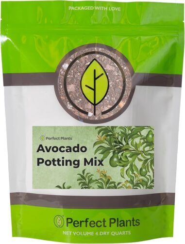 Professional Avocado Potting Mix by Perfect Plants | Premium All-Natural Blend for All Tropical Avocado Trees (4Qt)