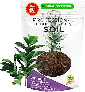 Fiddle Leaf Fig House Plant Soil Premium All Purpose Blend | Large 2.2 Quarts | Ready to Use for Indoor Houseplants | Peat, Sawdust, Course Sand and Pinebark | Made in USA