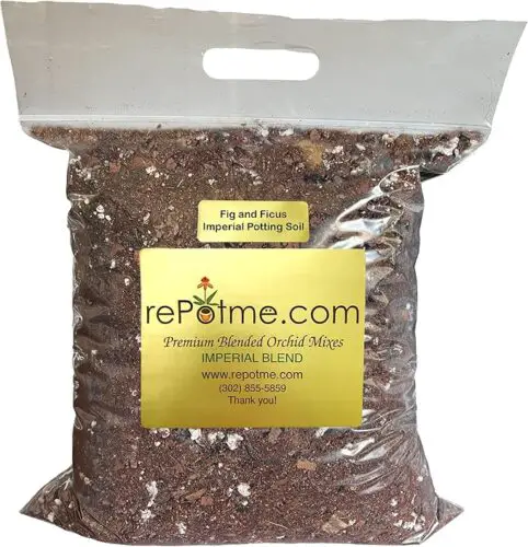 rePotme Fig & Ficus Potting Soil - Imperial Houseplant Mix - Standard Bag (8 Quarts) - Great Potting Mix for Indoor Plants