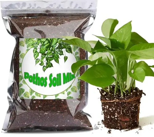 Organic Pothos Soil Mix 2qt, Indoor Plants Potting Mix for All Potted Pothos, Grow Healthy houseplants Indoors