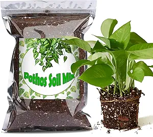 Organic Pothos Soil Mix 1qt, Indoor Plants Potting Mix for All Potted Pothos, Grow Healthy houseplants Indoors