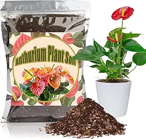 All-Natural Potting Soil for Anthurium & Indoor Plants 10qt - Enhanced Drainage, No Additives | Premium Indoor Plant Soil Mix