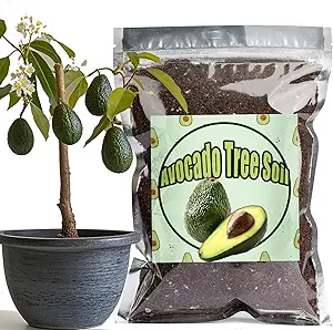 Organic Avocado Tree Potting Soil Mix 1qt, Enhance Growth and Transplant Success for Avocado Plants
