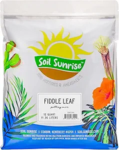 Soil Sunrise Premium Fiddle Leaf Fig Tree Soil (12 Quarts) - Expert Formula for Vibrant Growth - Nutrient-Rich Potting Mix,Specifically Designed for Healthy Indoor,Outdoor,& Potted Fiddle Fig Plants