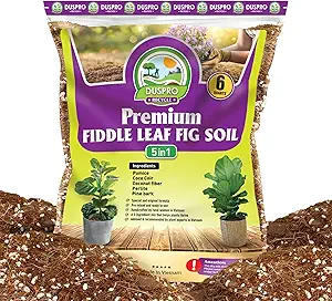 DUSPRO Recycle Fiddle Leaf Fig Soil Specialized for Fiddle Leaf Fig Plant Indoor 5-in-1 Pre-Mixed with Coco Coir, Coconut Fiber, Perlite, Pumice, Pine Bark Ready-to-Use Handmade Mix Drainage 6 QRT