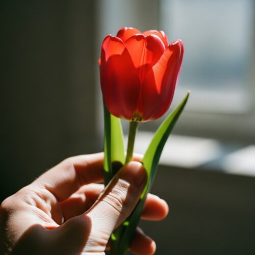 10 beautiful Easter flowers