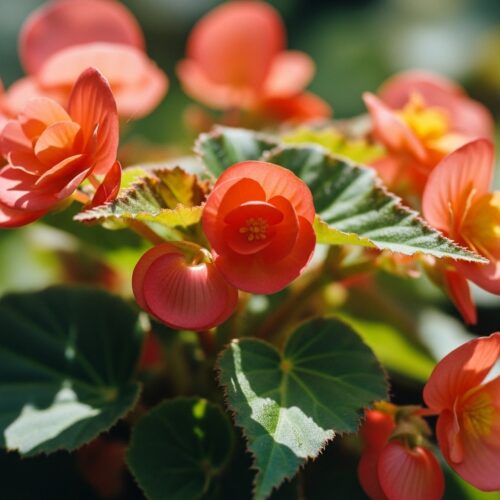 10 beautiful Holi flowers