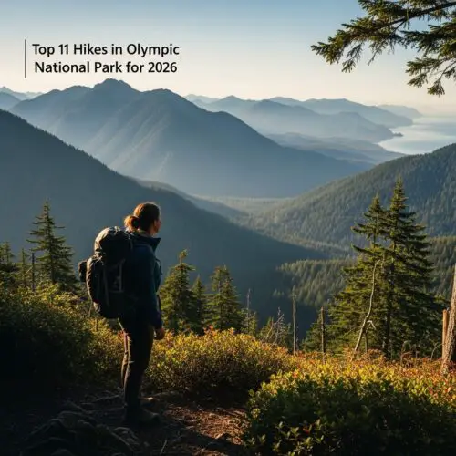 11 Best Hikes in Olympic National Park in 2026 (Expert-Ranked Trail Guide)