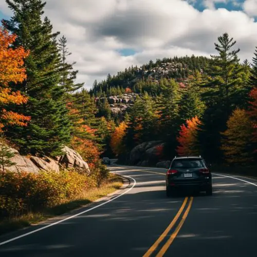 12 Best National Park Road Trips in 2026 (+ Unmissable Stops Along the Way)