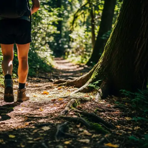 13 Amazing Facts About Arches National Park Every Visitor Should Know in 2026