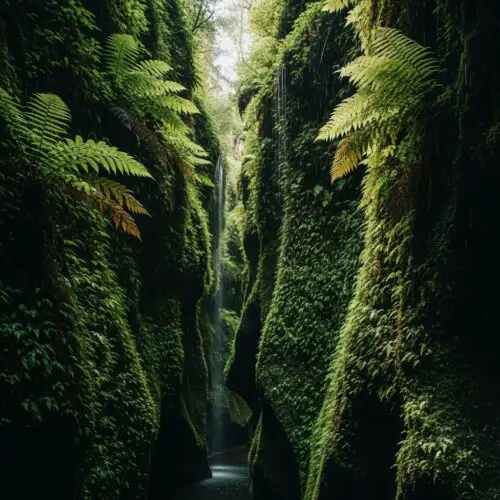 14 Fascinating Redwood National Park Facts Worth Knowing Before You Visit