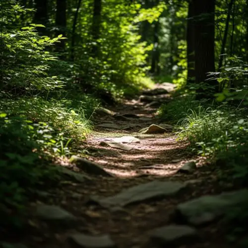 14 Surprising Facts About Shenandoah National Park (2026 Visitor Edition)