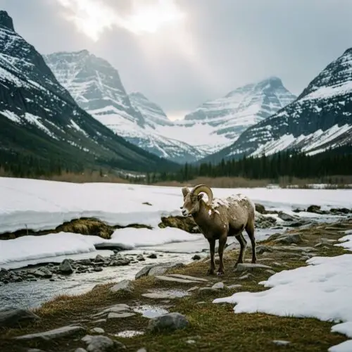 17 Best National Parks to Visit in March 2026 (+ Complete Road Trip Guide)