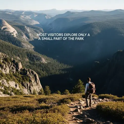 18 Yosemite National Park Facts That Will Completely Amaze You in 2026