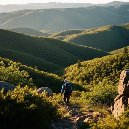 Utah's Mighty 5 National Parks: The Definitive 2026 Planning Guide