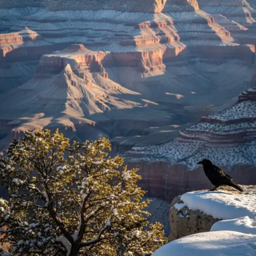Visiting the Grand Canyon in December 2026: The Complete Winter Planning Guide