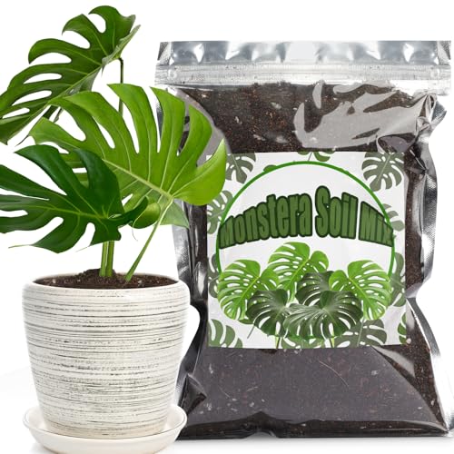 Doter Monstera Potting Soil 1qt - Premium Tropical Blend with Rapid Drainage for Growing and Repotting Monstera Deliciosa (Split-Leaf Philodendron) and Swiss Cheese Plants