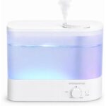 MEGAWISE 6L Humidifier