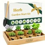 Indoor Herb Garden Start Kit - Unique Gifts for