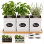 Herb Planter Indoor