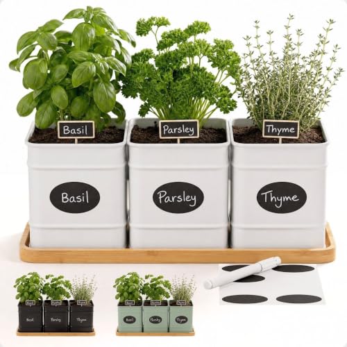 Herb Planter Indoor, 3-pc Herb Pots w/ Drainage Holes, Bamboo Tray & Labels
