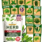 HOME GROWN 15 Herb Seed Variety Kit