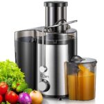 Juicer Machine 800W Centrifugal Juicer with Wide Mouth Feed