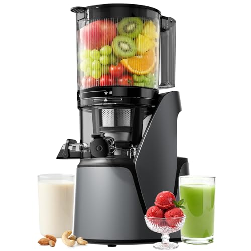 EanOruus Juicer Machines, 3-in-1 Cold Press Juicer, Premium Gray
